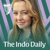 The Indo Daily artwork