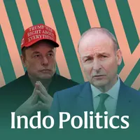 Indo Politics artwork