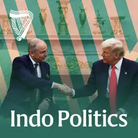 Indo Politics artwork