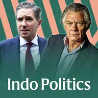 Indo Politics artwork