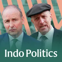 Indo Politics artwork