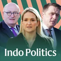 Indo Politics artwork