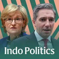 Indo Politics artwork