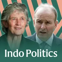 Indo Politics artwork