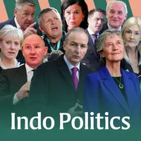 Indo Politics artwork