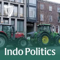 Indo Politics artwork