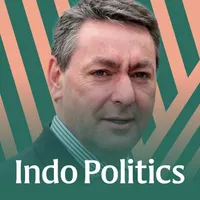 Indo Politics artwork