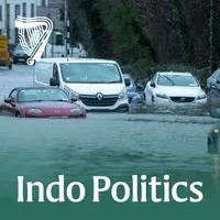 Indo Politics artwork