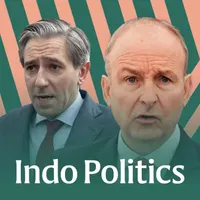 Indo Politics artwork