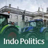 Indo Politics artwork