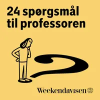 24 spørgsmål til professoren artwork