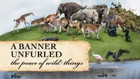 Pioneer Media Audio Podcast artwork