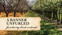 Pioneer Media Audio Podcast artwork