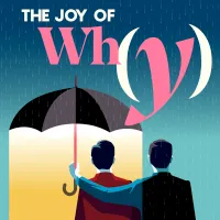The Joy of Why artwork
