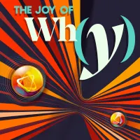 The Joy of Why artwork