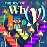 The Joy of Why artwork
