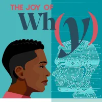 The Joy of Why artwork
