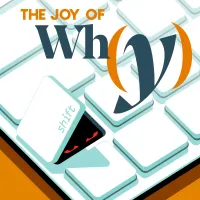 The Joy of Why artwork