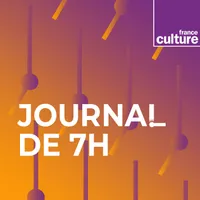 Les journaux de France Culture artwork