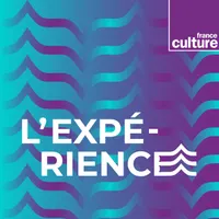 Les documentaires de France Culture artwork