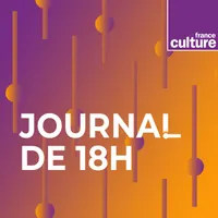 Les journaux de France Culture artwork