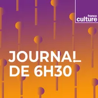 Les journaux de France Culture artwork