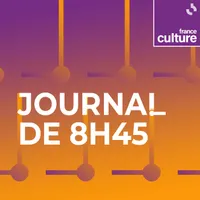 Les journaux de France Culture artwork