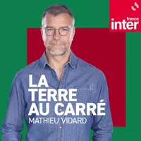 La Terre au carré artwork