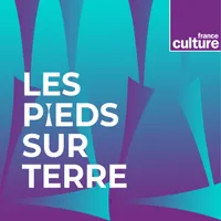 Les pieds sur terre artwork