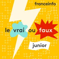 Le vrai ou faux junior artwork