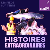 Les pieds sur terre artwork