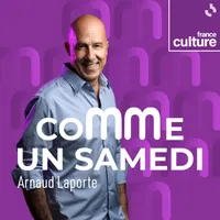 Les émissions culturelles de France Culture artwork