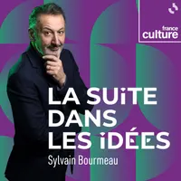 Les émissions de savoir de France Culture artwork