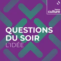 Questions du soir : le débat artwork
