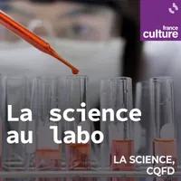La Science CQFD artwork