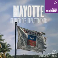 LSD, la série documentaire artwork