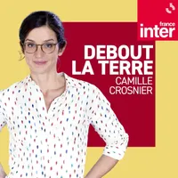 La Terre au carré artwork
