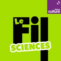 Le Fil Culture G artwork