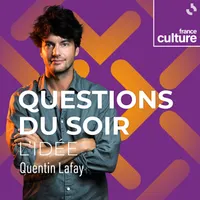 Questions du soir : le débat artwork