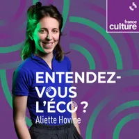 Les émissions de savoir de France Culture artwork