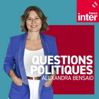 Questions politiques artwork