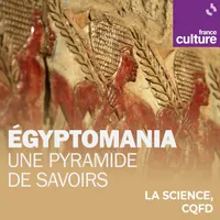 La Science CQFD artwork