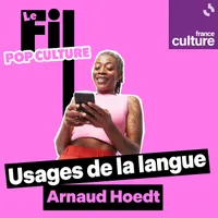 Le Fil Culture G artwork
