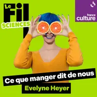 Le Fil Culture G artwork