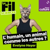 Le Fil Culture G artwork