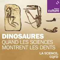 Les émissions de savoir de France Culture artwork