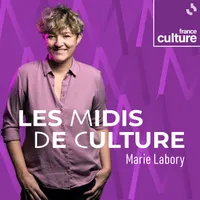 Les Midis de Culture artwork