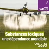 Cultures monde artwork