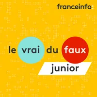 Le vrai ou faux junior artwork