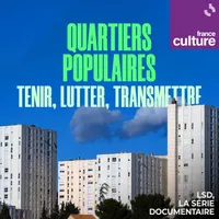 LSD, la série documentaire artwork